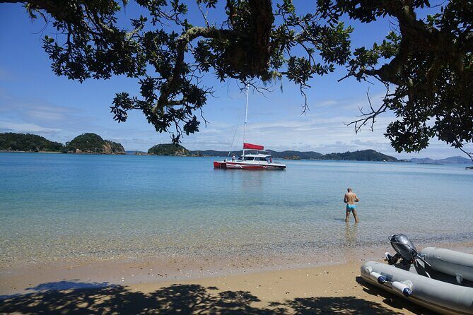 Carino Wildlife Cruises - Island and Wildlife Day Cruise - Practical Details and Value