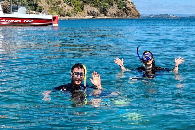 Carino Wildlife Cruises - Island and Wildlife Day Cruise - Who Will Love This Tour?