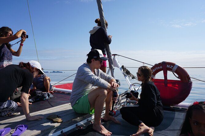 Carino Wildlife Cruises - Island and Wildlife Day Cruise - The Sum Up