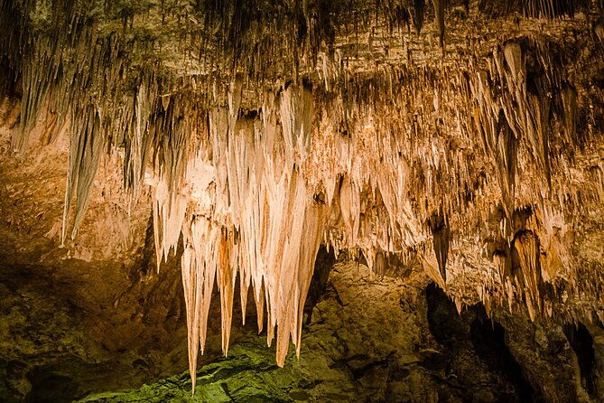 carlsbad-caverns-self-guided-walking-tour-not-a-ticket