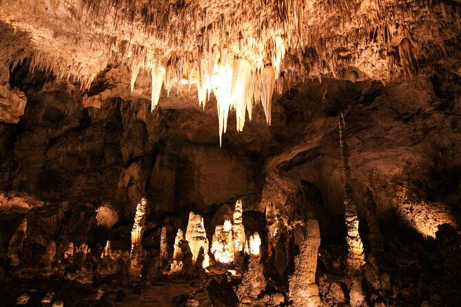 carlsbad-caverns-self-guided-walking-tour-not-a-ticket