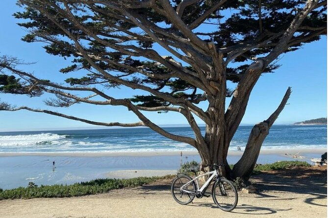 carmel-by-the-sea-electric-bike-guided-tour