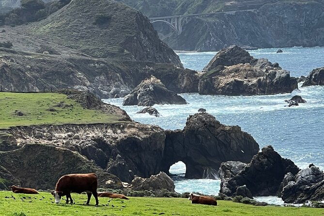 carmel-monterey-and-big-sur-tour-private-tour-from-san-francisco-2