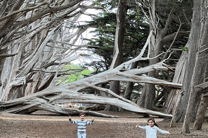 carmel-monterey-and-big-sur-tour-private-tour-from-san-francisco-2