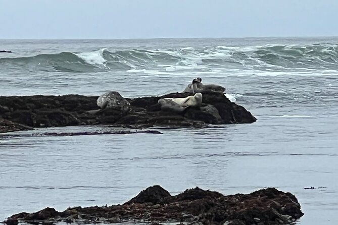 carmel-monterey-and-big-sur-tour-private-tour-from-san-francisco-2