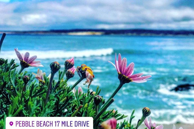 carmel-monterey-hwy-1-tour