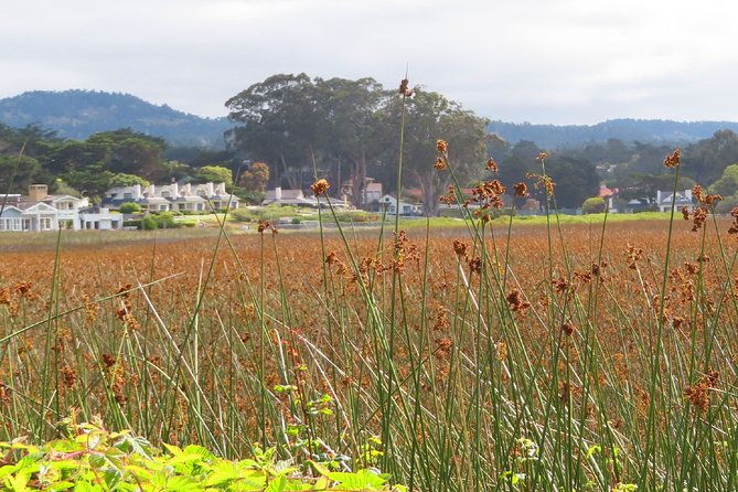 carmel-point-a-self-guided-audio-tour