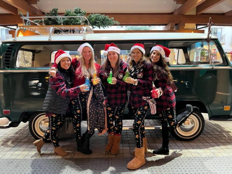 carmel-valley-village-wine-tasting-tours-in-a-1970-vw-bus