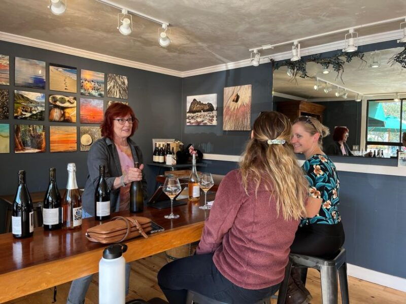 carmel-valley-village-wine-tasting-tours-in-a-1970-vw-bus