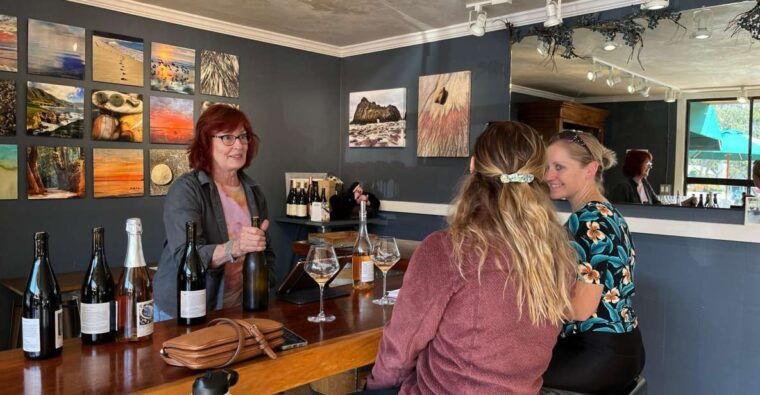 carmel-valley-village-wine-tasting-tours-in-a-1970-vw-bus