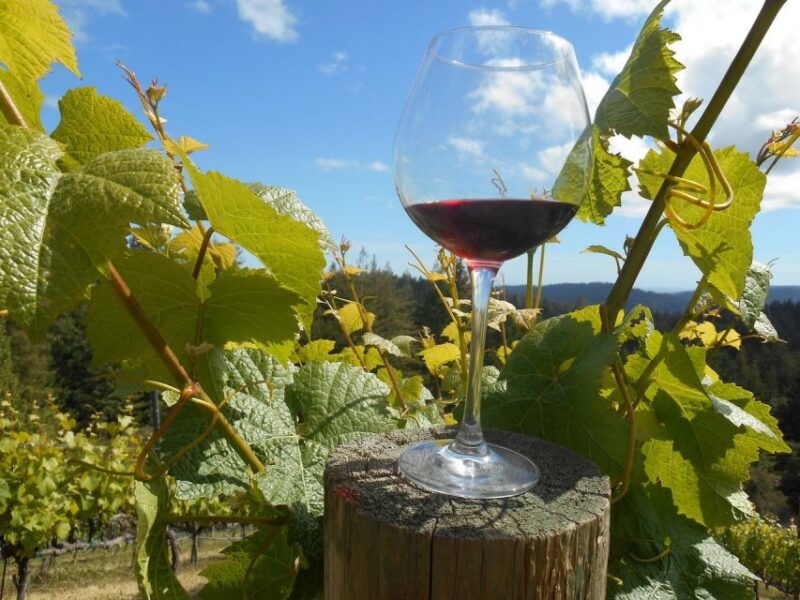 carmel-valley-wine-tasting-tour