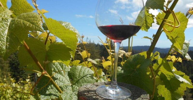 carmel-valley-wine-tasting-tour