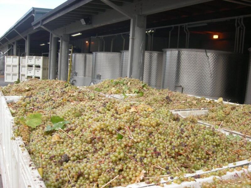 carmel-valley-wine-tasting-tour