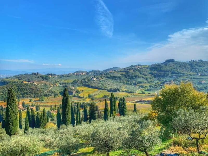 Carmignano: Wine Tour with a Wine Educator - The Sum Up