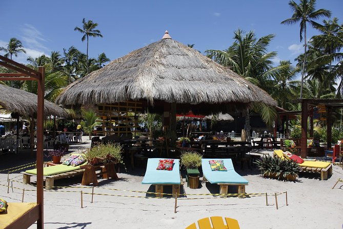 carneiros-beach-day-tour