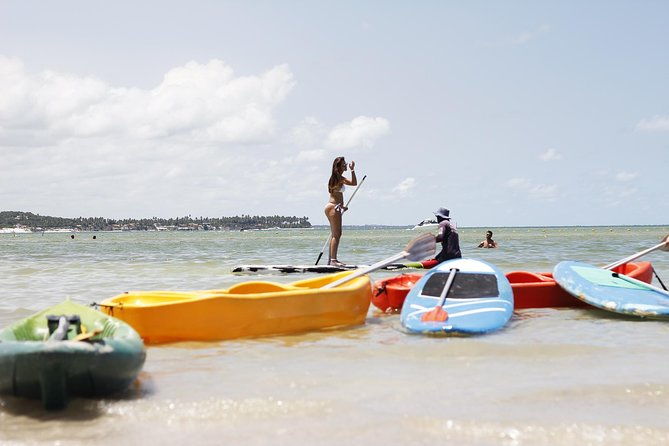 carneiros-beach-day-tour
