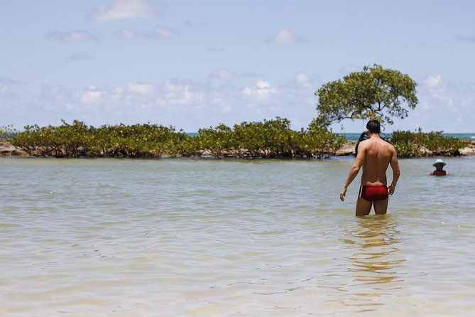 carneiros-beach-day-tour