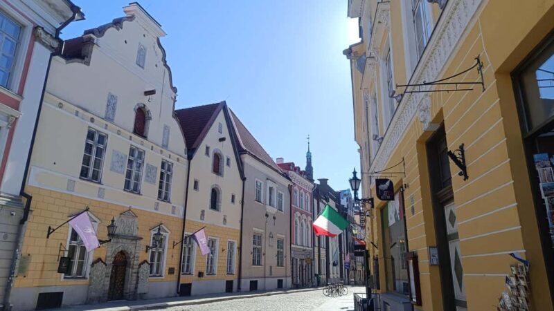 Carnivals, Punishments, Epidemics in Medieval Tallinn - Key Points