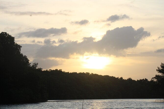 caroni-bird-sanctuary-tour