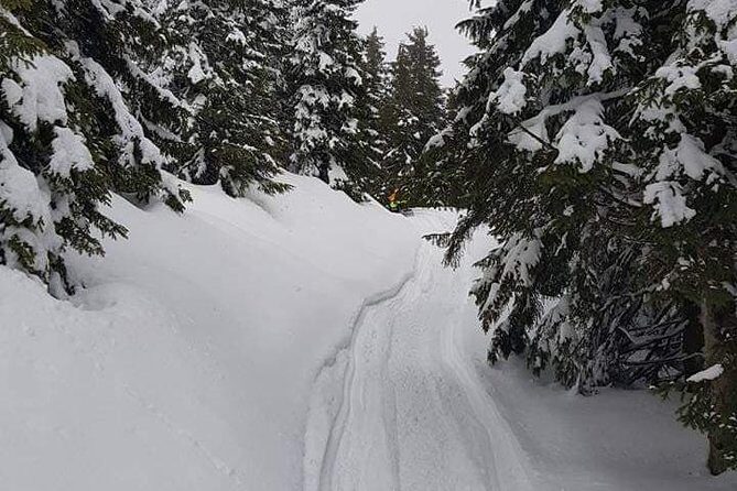 Carpathian mountains Snowmobile, ATV or Buggy tour in one day - Introduction: An Adventure Worth Considering