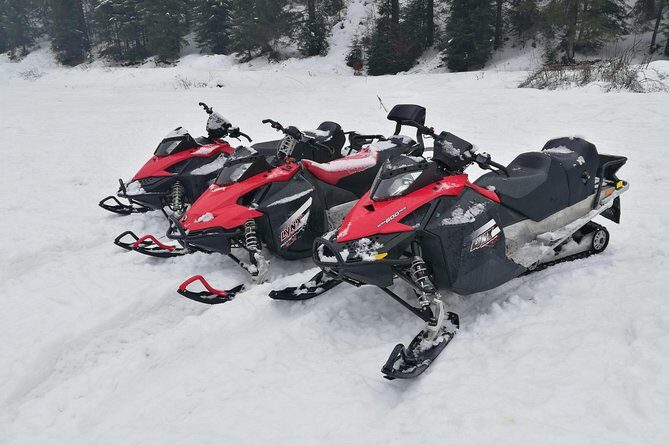 Carpathian mountains Snowmobile, ATV or Buggy tour in one day - The Experience: From Scenic Views to Adrenaline Rushes