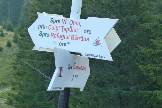 Carpathians in Romania: Bucegi Natural Park with native Spanish guide. - Final Thoughts: Who Will Love This Tour?