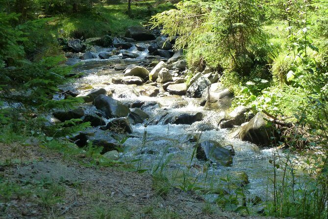 Carpathians in Romania: Bucegi Natural Park with native Spanish guide. - FAQ