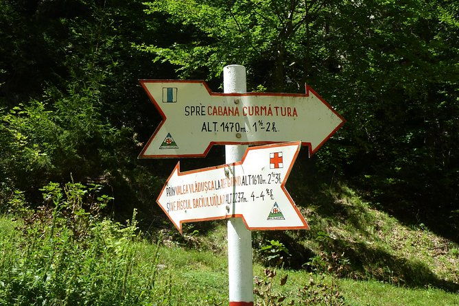 carpathians-in-romania-piatra-craiului-national-park-with-native-spanish-guide