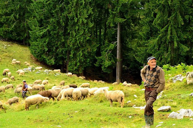 carpathians-in-romania-piatra-craiului-national-park-with-native-spanish-guide