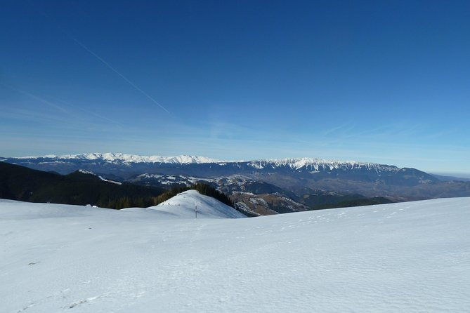 carpathians-in-romania-piatra-craiului-national-park-with-native-spanish-guide