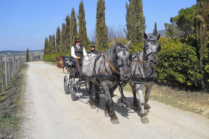 carriage-ride-and-lunch-in-a-typical-restaurant-in-the-heart-of-chianti
