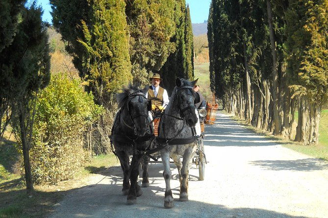 carriage-ride-and-lunch-in-a-typical-restaurant-in-the-heart-of-chianti