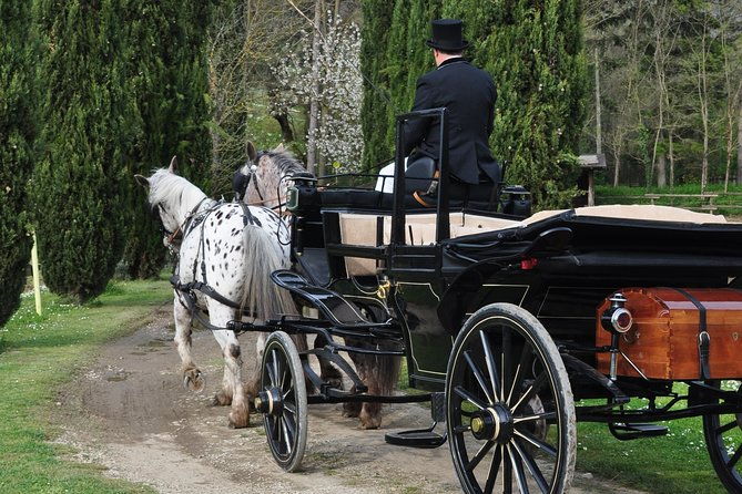 carriage-ride-and-lunch-in-a-typical-restaurant-in-the-heart-of-chianti
