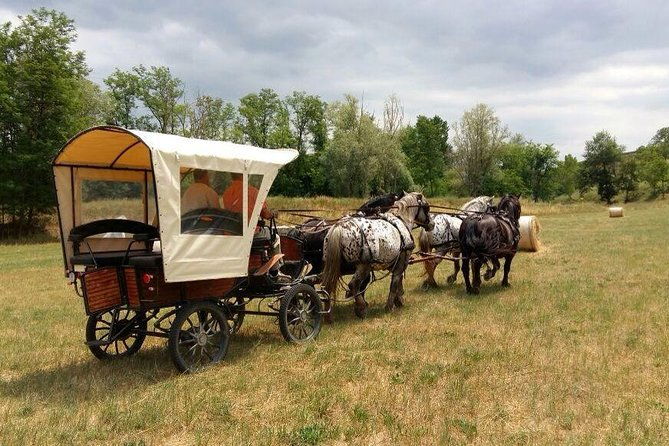carriage-ride-and-lunch-in-a-typical-restaurant-in-the-heart-of-chianti