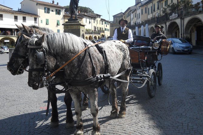 carriage-ride-and-lunch-in-a-typical-restaurant-in-the-heart-of-chianti