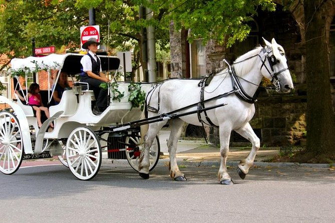carriage-ride-in-central-park-vip-private-since-1964