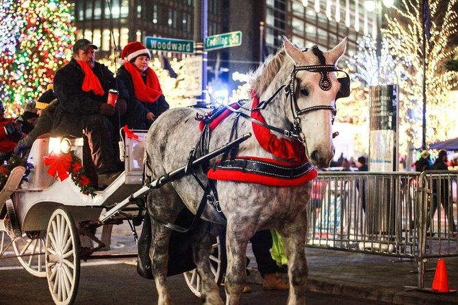 carriage-ride-in-central-park-vip-private-since-1964
