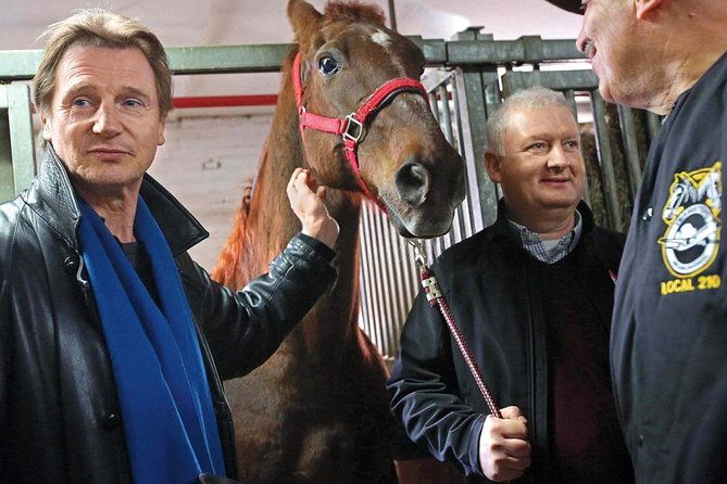 carriage-ride-in-central-park-vip-private-since-1964