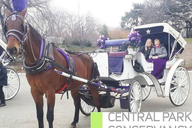 carriage-ride-in-central-park-vip-private-since-1964