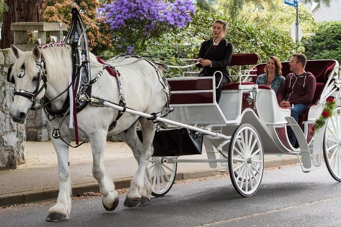 carriage-ride-in-central-park-vip-private-since-1964