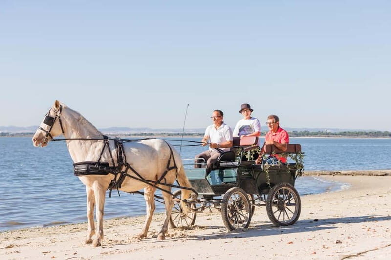CARRIAGE Ride On The Beach (Rosário Beach) - What’s Included and Practical Details