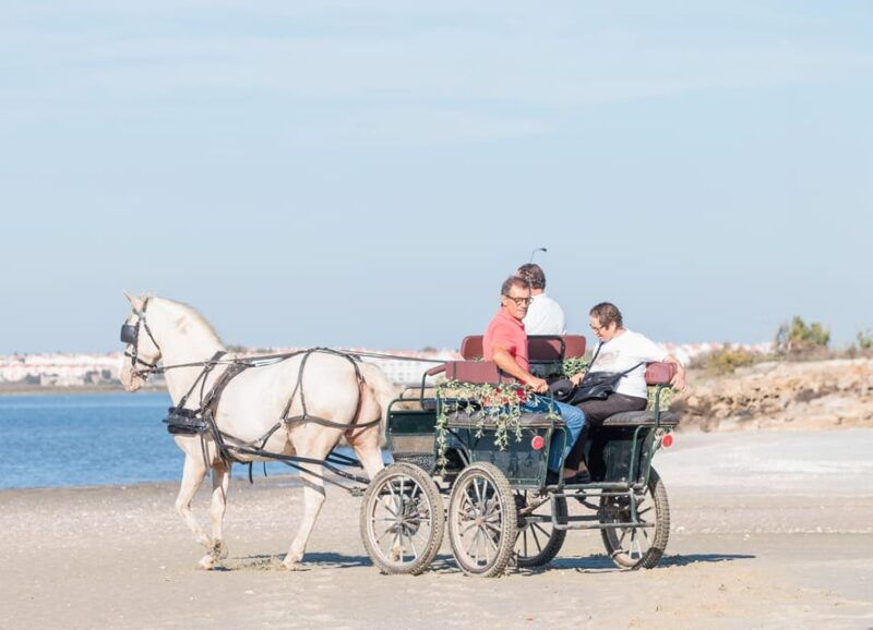 carriage-ride-on-the-beach-rosario-beach