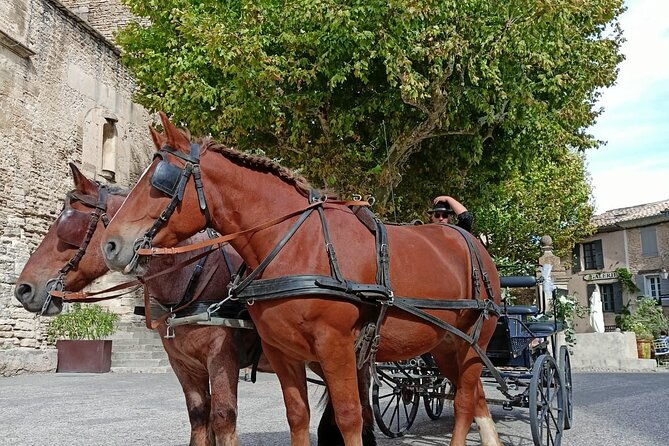 carriage-rides-in-the-heart-of-the-luberon