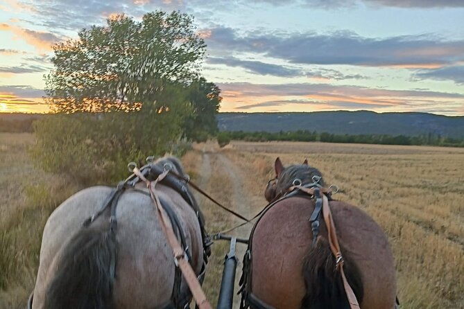 carriage-rides-in-the-heart-of-the-luberon