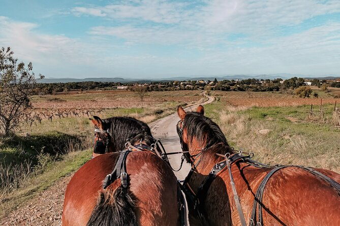 carriage-rides-pays-de-sommieres