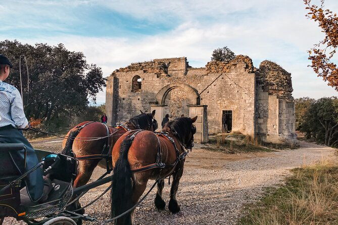 carriage-rides-pays-de-sommieres