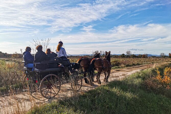 carriage-rides-pays-de-sommieres