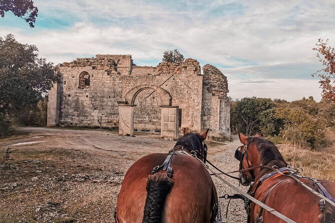 carriage-rides-pays-de-sommieres