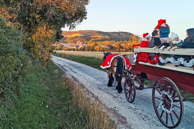 carriage-rides-pays-de-sommieres