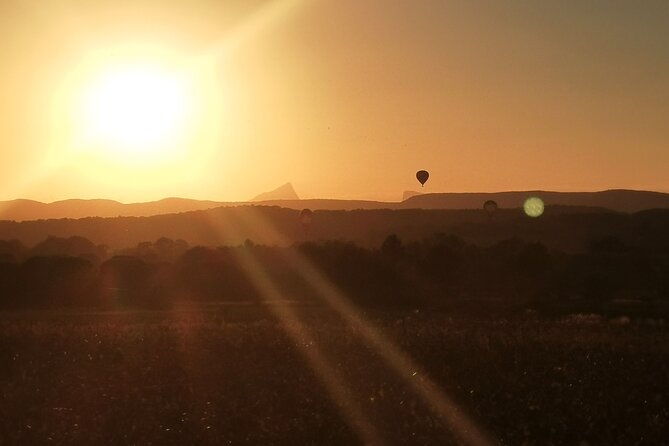 carriage-rides-pays-de-sommieres